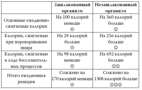 Умные калории: как больше есть, меньше тренироваться, похудеть и жить лучше