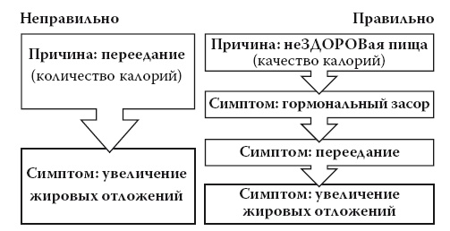 Умные калории: как больше есть, меньше тренироваться, похудеть и жить лучше