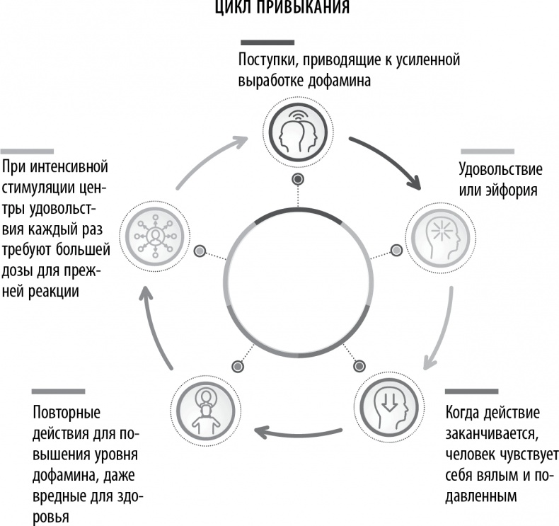 Полюби свой мозг