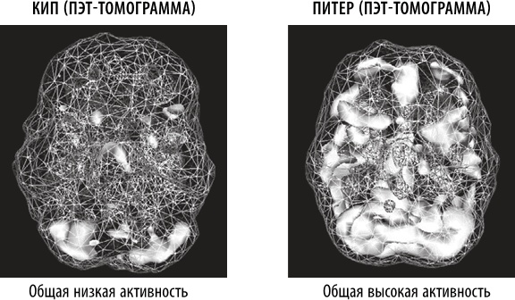 Полюби свой мозг