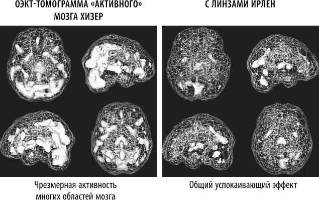 Полюби свой мозг