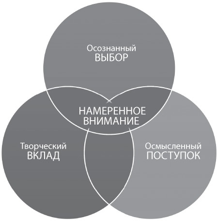 Внимание самому важному. От стресса и хаоса к осмысленности и концентрации