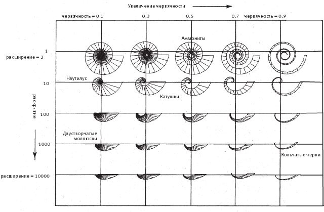 Восхождение на гору Невероятности