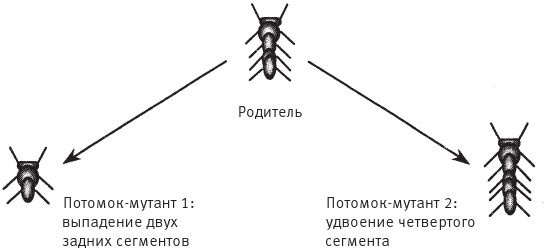 Восхождение на гору Невероятности