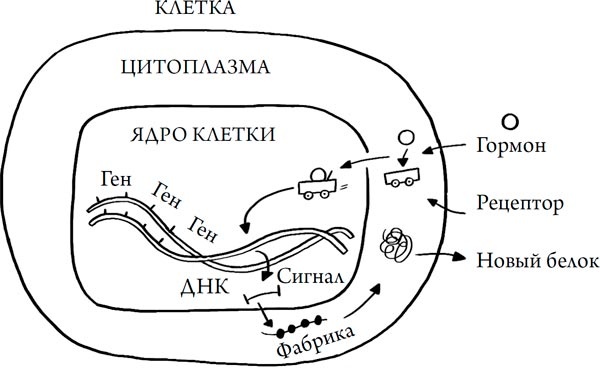 Человек Противный