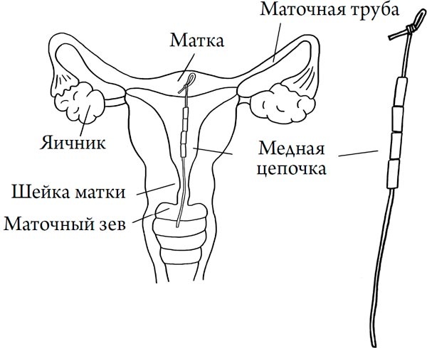 Человек Противный