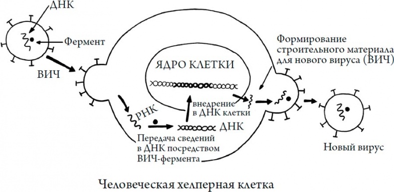 Человек Противный