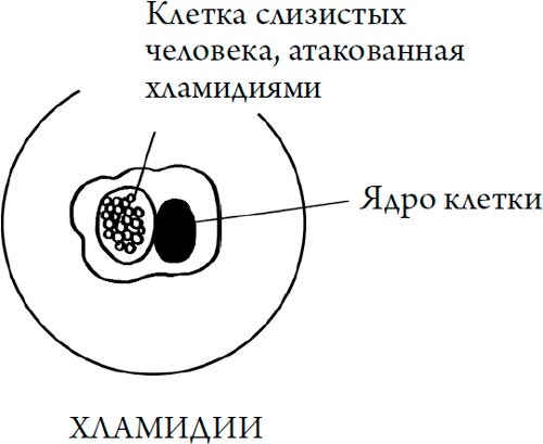 Человек Противный