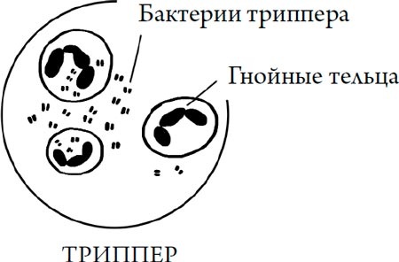 Человек Противный