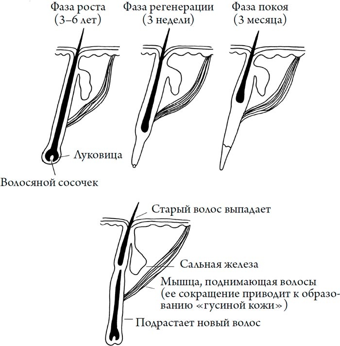 Человек Противный