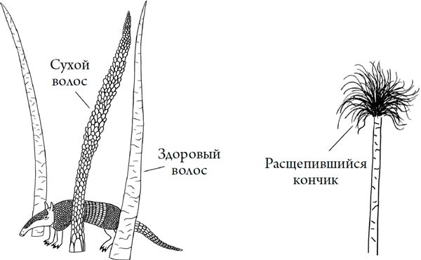 Человек Противный