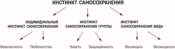 Красная таблетка-2. Вся правда об успехе