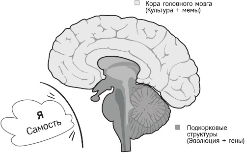 Красная таблетка-2. Вся правда об успехе