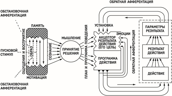 Красная таблетка-2. Вся правда об успехе