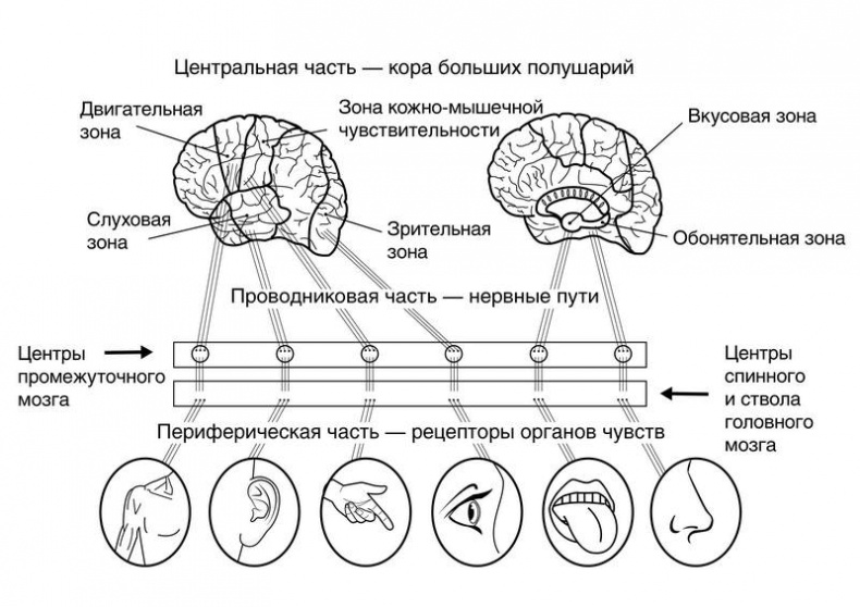 Троица. Будь больше самого себя