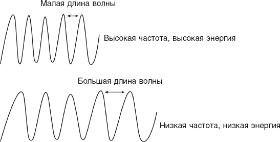 Кожа: орган, в котором я живу