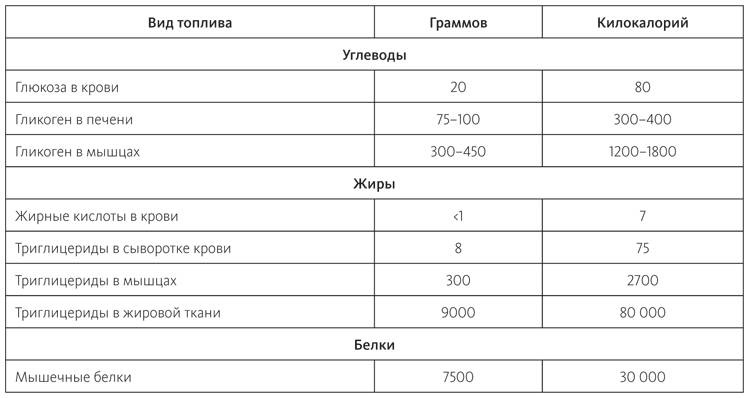 Питание в спорте на выносливость. Все, что нужно знать бегуну, пловцу, велосипедисту и триатлету