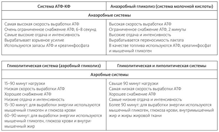 Питание в спорте на выносливость. Все, что нужно знать бегуну, пловцу, велосипедисту и триатлету