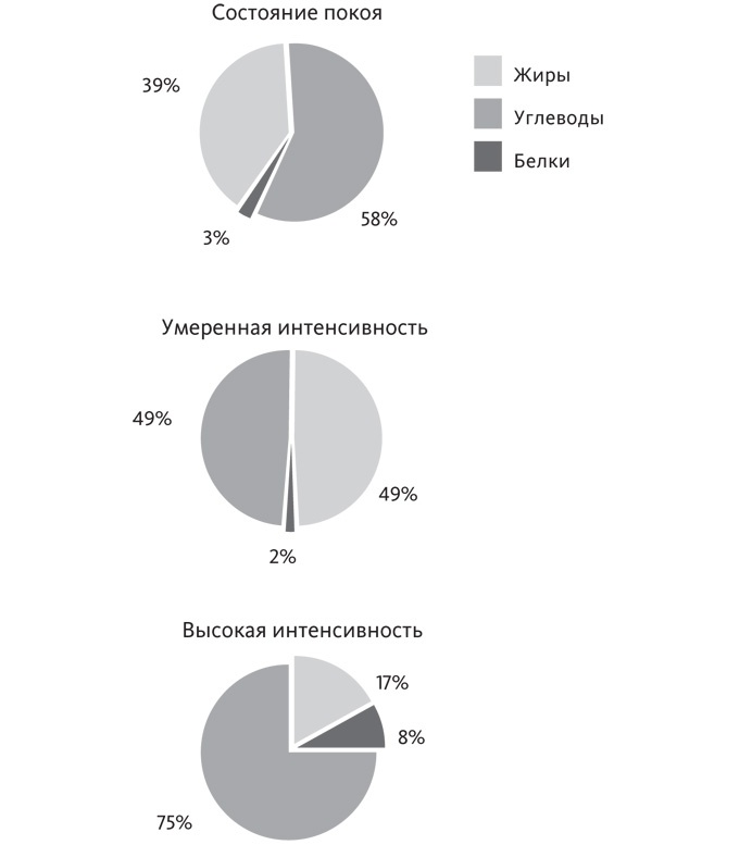 Питание в спорте на выносливость. Все, что нужно знать бегуну, пловцу, велосипедисту и триатлету