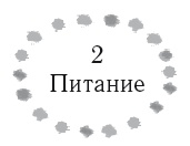 Жизнь в стиле соло: как жить одному и наслаждаться этим 