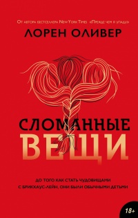 Книга Сломанные вещи