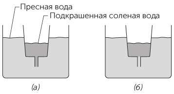 Новый физический фейерверк