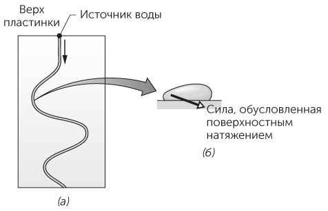 Новый физический фейерверк