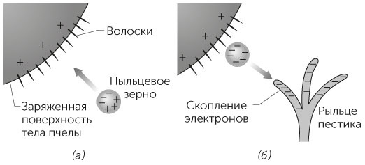 Новый физический фейерверк