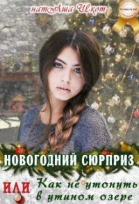 Книга Новогодний сюрприз или, Как не утонуть в утином озере