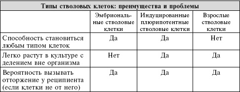 Сердце. Справочник кардиопациента