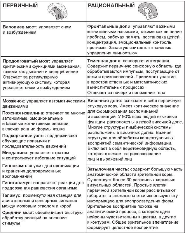 Код убеждения. Как нейромаркетинг повышает продажи, эффективность рекламных кампаний и конверсию сайта