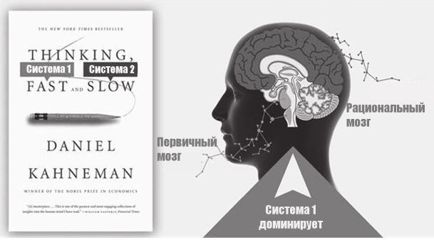 Код убеждения. Как нейромаркетинг повышает продажи, эффективность рекламных кампаний и конверсию сайта