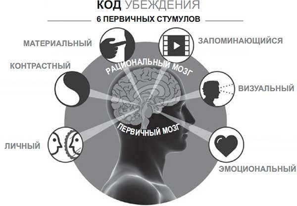 Код убеждения. Как нейромаркетинг повышает продажи, эффективность рекламных кампаний и конверсию сайта