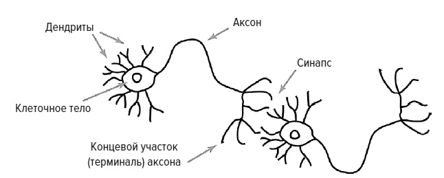 Зачем мы говорим