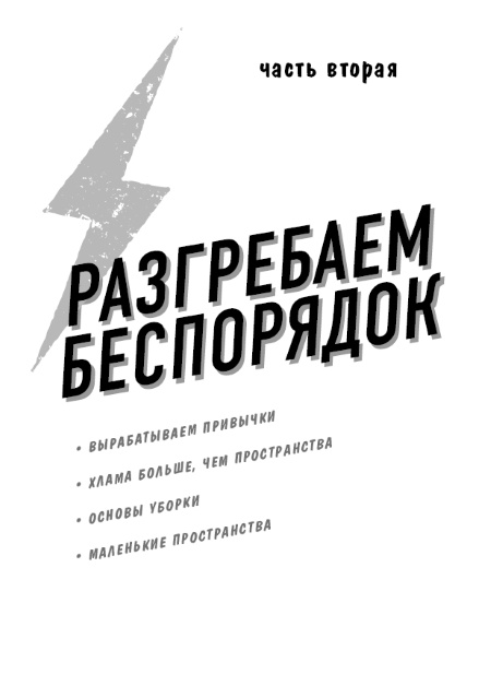 Разгреби свой срач. Как перестать ненавидеть уборку и полюбить свой дом