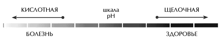 Звук безмолвия