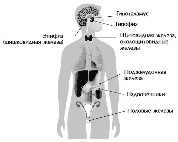 Звук безмолвия