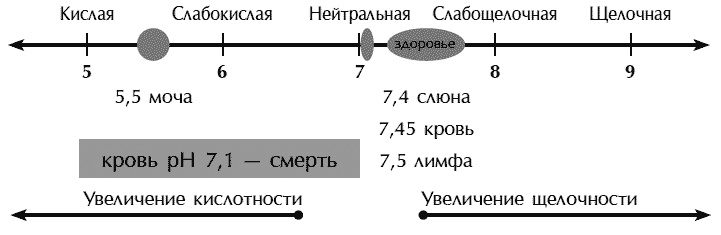 Звук безмолвия