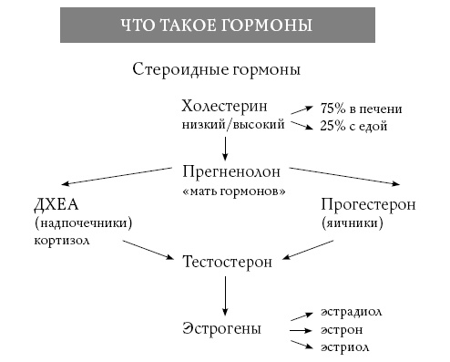 Обнаженные гормоны