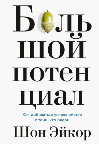 Книга Большой потенциал