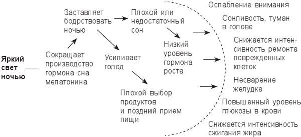 Циркадный код. Как настроить свои биологические часы на здоровую жизнь