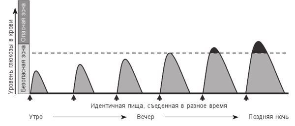 Циркадный код. Как настроить свои биологические часы на здоровую жизнь