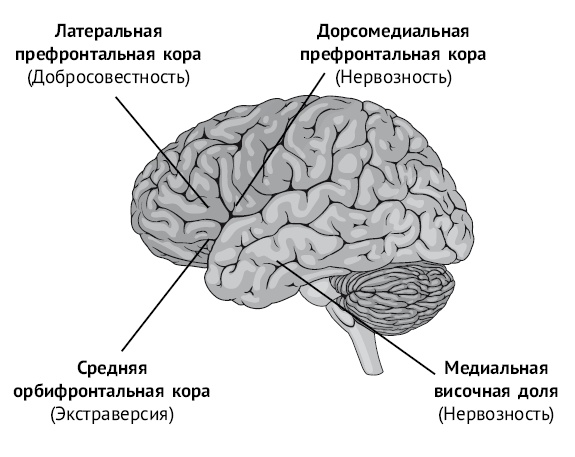 Хочу и могу. Как изменить свою личность за 30 дней