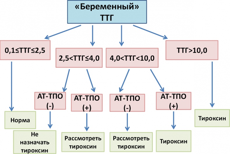 ГОРМОНичное тело