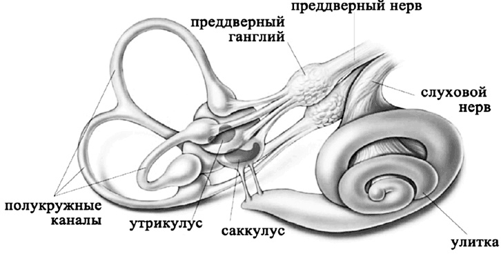 Головокружение