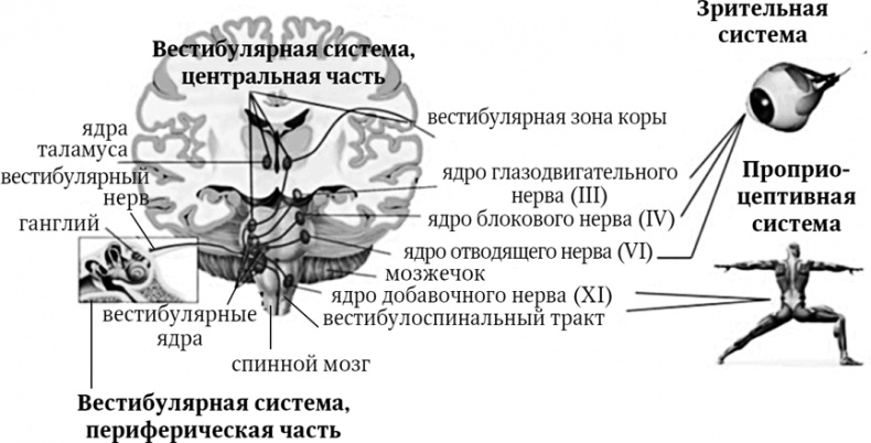 Головокружение