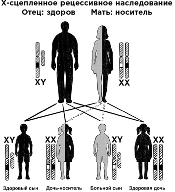 30 Нобелевских премий: Открытия, изменившие медицину