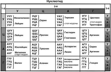 30 Нобелевских премий: Открытия, изменившие медицину