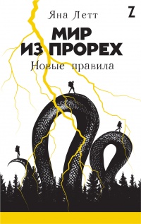 Книга Мир из прорех. Новые правила