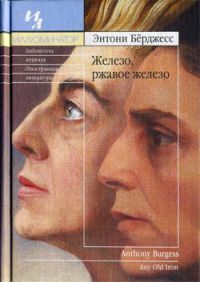 Книга Железо, ржавое железо